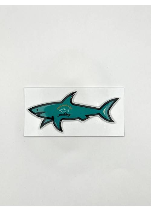 STICKERS SHARK STICKER SHARK VERT  SHARKVERT chez Graphiti Concept Store Dieppe